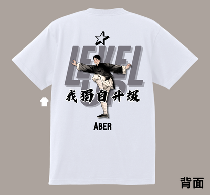 ABER019/我獨自升級